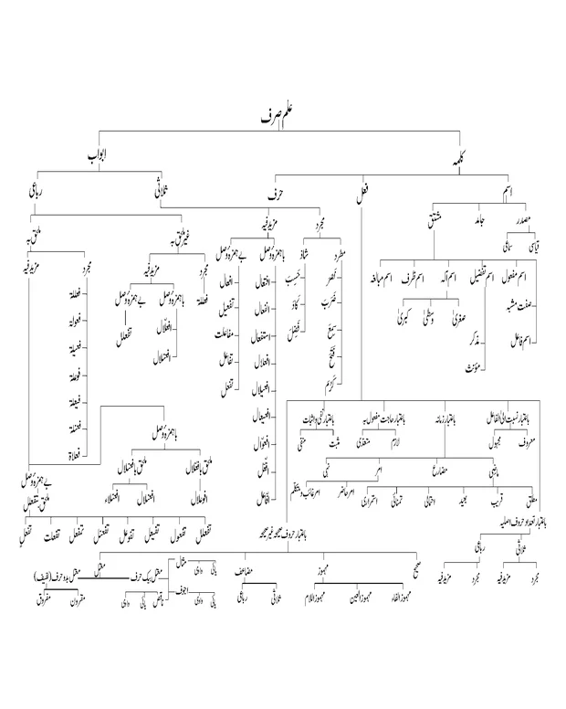 نصاب الصرف کا نقشہ — نصاب الصرف