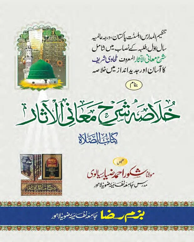 خلاصہ — شرح معانی الاثار